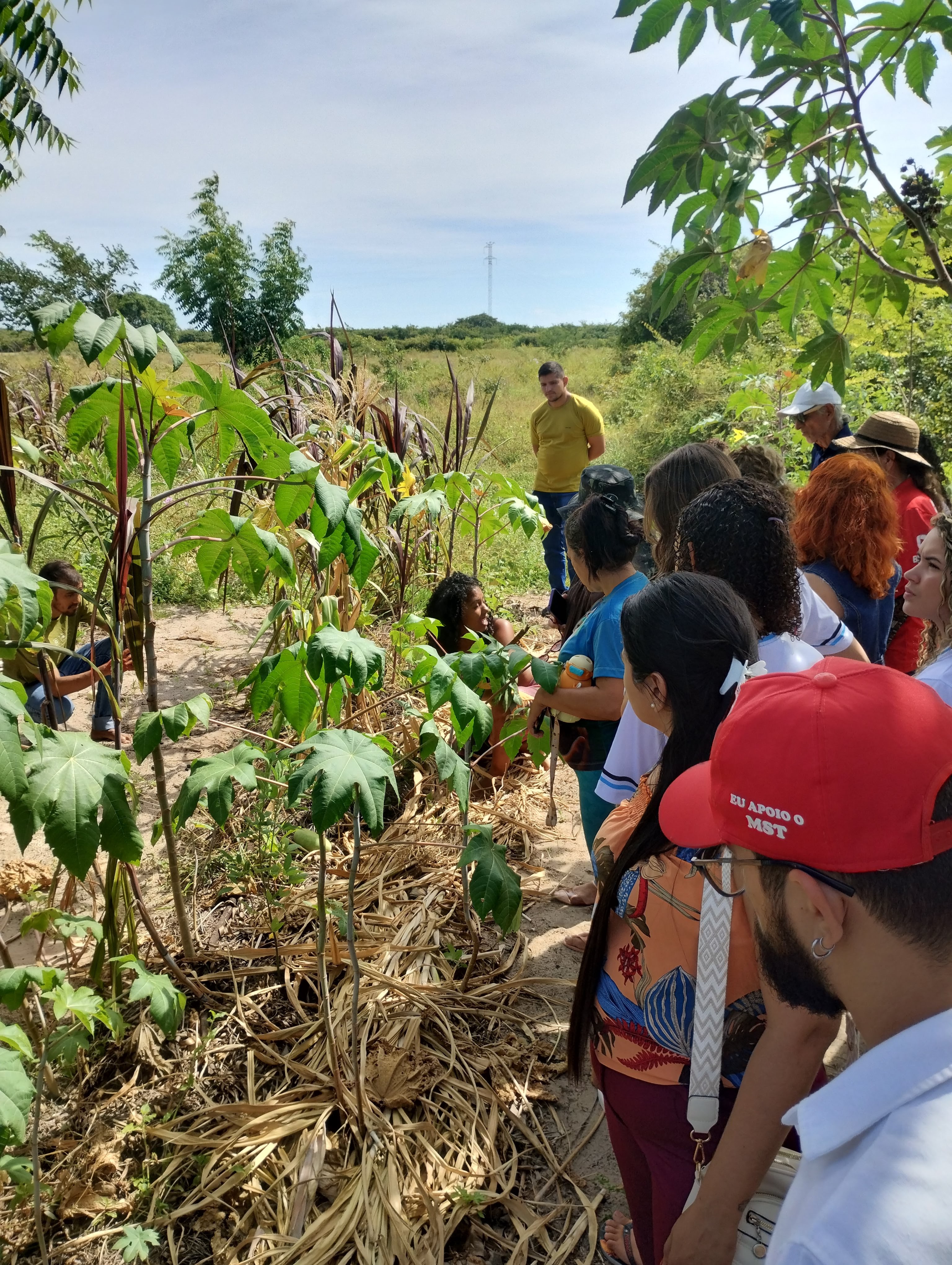 Família colhendo alimentos agroecológicos